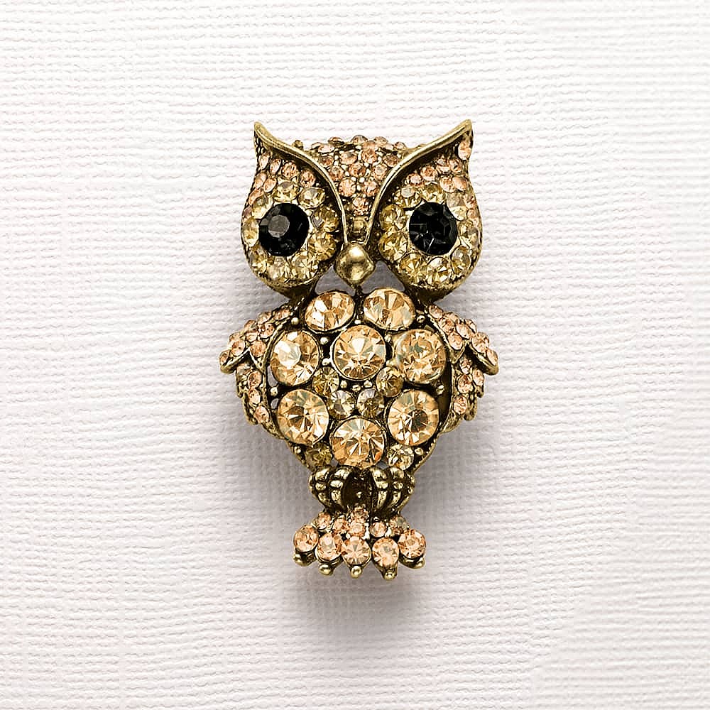 Owl In Good Time Brooch