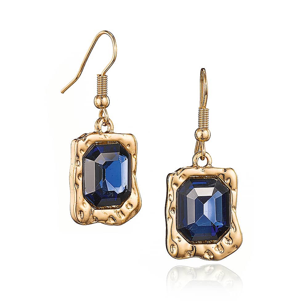 Colour Awakened Navy Earrings