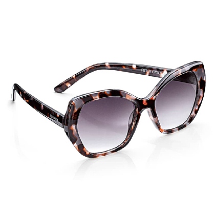 Framed Features Sunglasses